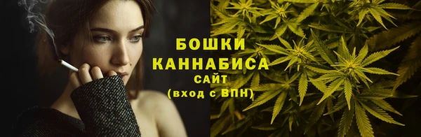 эйфоретик Гатчина