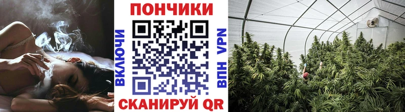 kraken ССЫЛКА  Далматово  Конопля Amnesia 